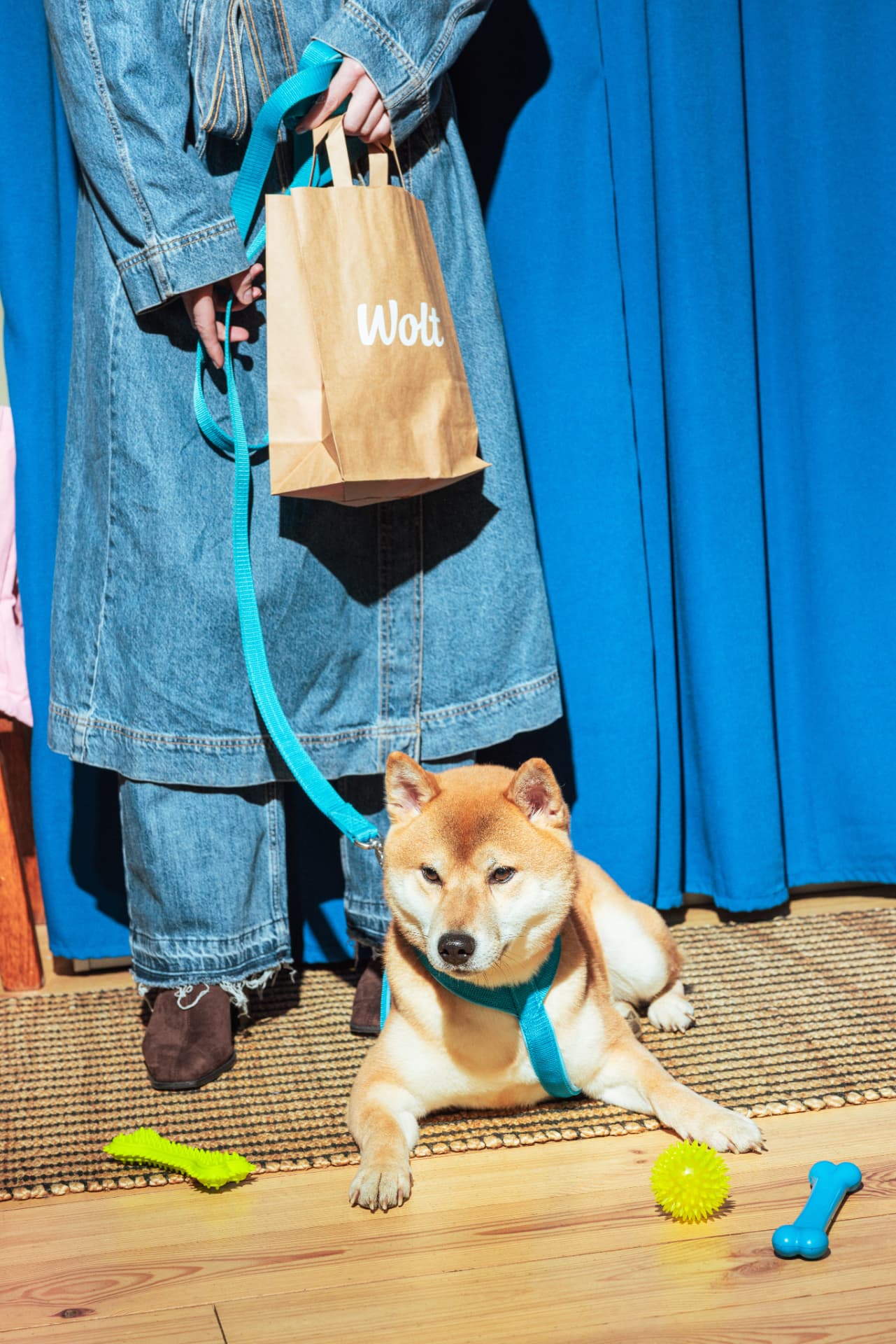 Wolt Pets  — Lifestyle Imagery